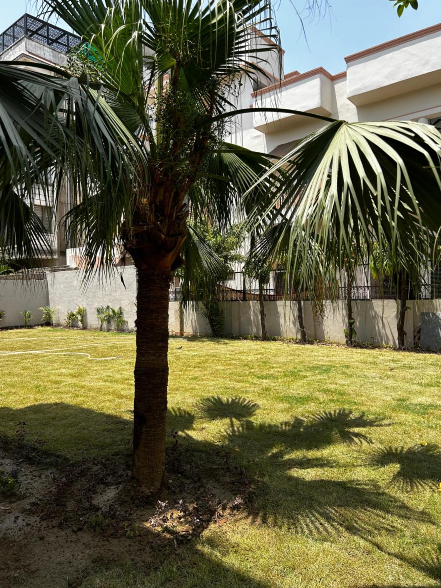 Ashirvad Homestay Varanasi Esterno foto
